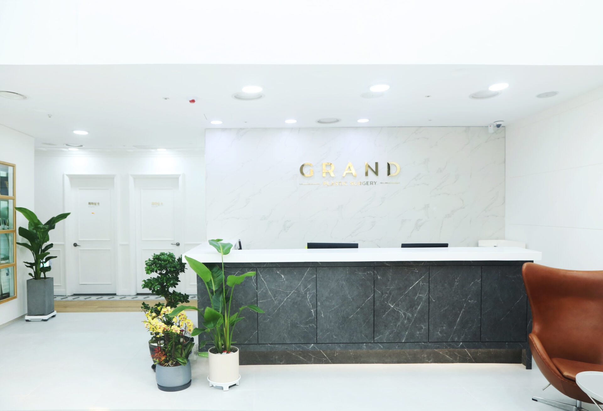 グランド美容外科医院｜狎鴎亭(アックジョン)